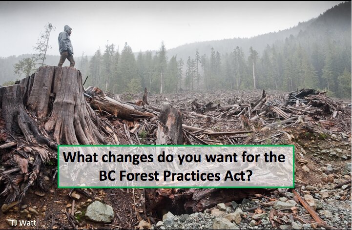 Forest Practices Act